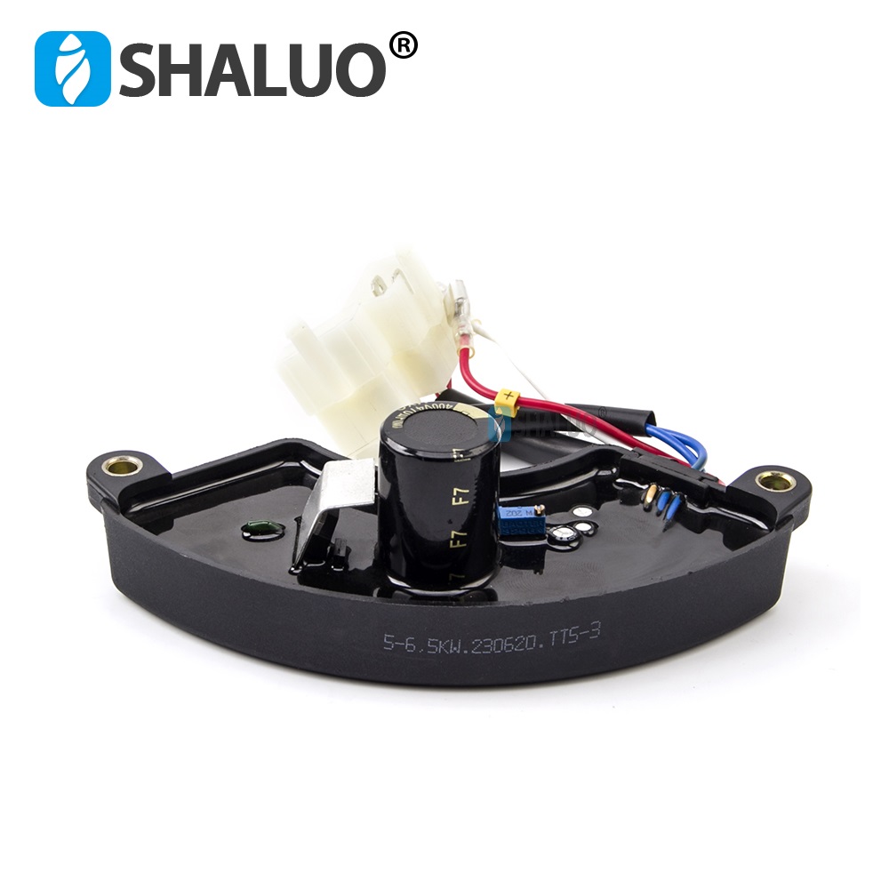 Universal 5KW 6.5KW AVR Three  - огляд і ціна Cycloidal Reducer Bldc Motor