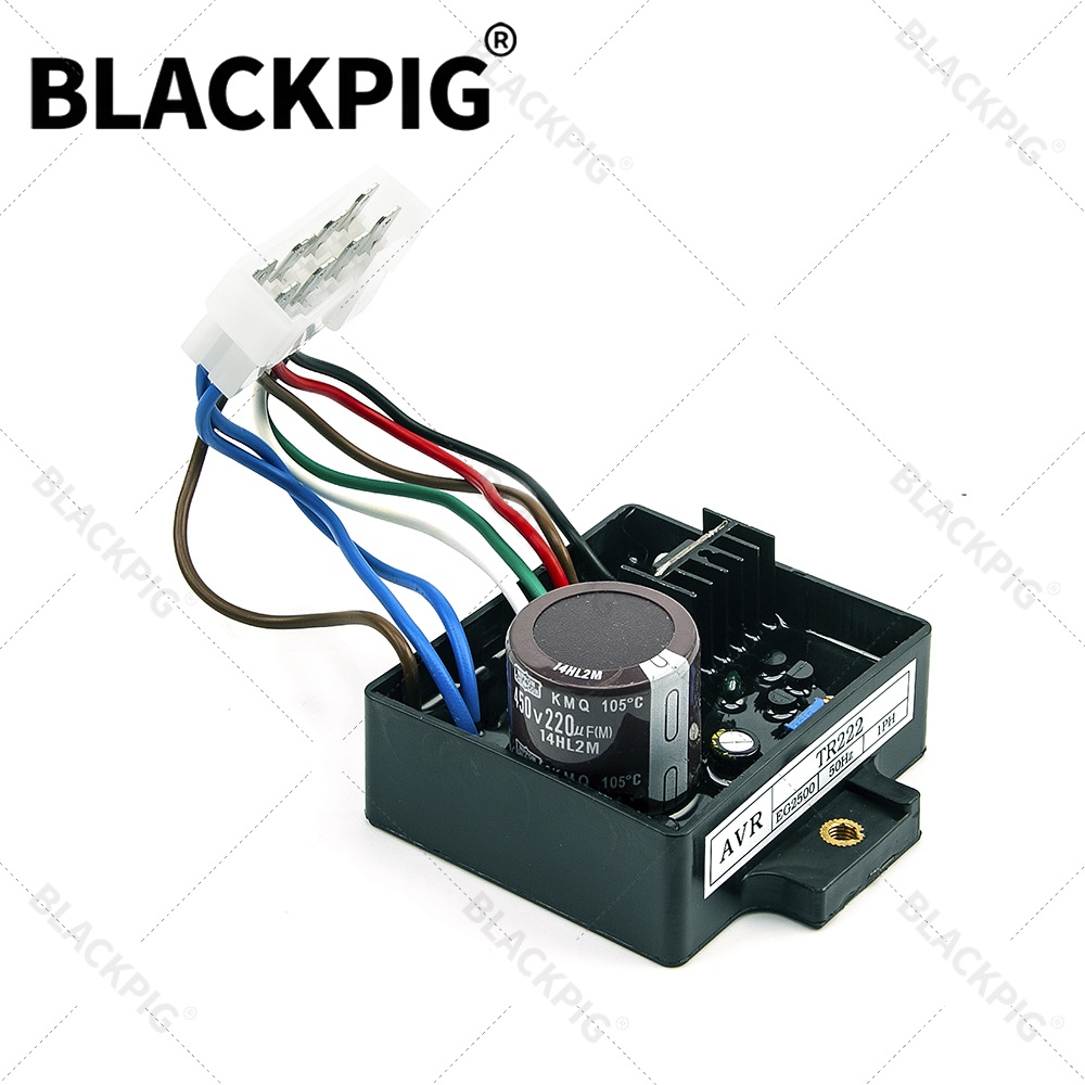TR222 EG2500 AVR Automatic Vol - огляд і ціна Cycloidal Reducer Bldc Motor